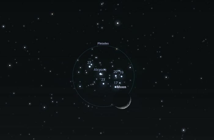 A holdsarló találkozása a Fiastyúkkal