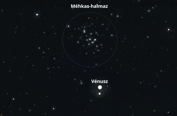A ragyogó Vénusz együttállása a Méhkas-halmazzal